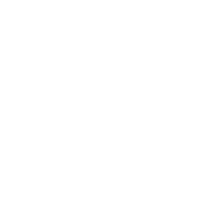 Versão 1 - Logo Preto e Branco - Surek - 2-8